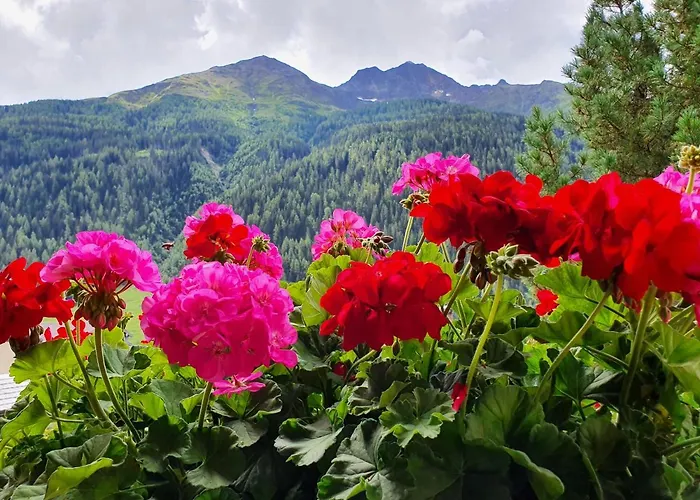 Sonneck Appartement Pettneu am Arlberg
